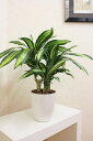 <光の楽園>光触媒加工アートリーフ (光触媒加工 日本製 アートグリーン 人口植物 葉 空気清浄 お手入れ不要 水やり不要 お洒落 可愛い 部屋 抗菌 消臭 化学物質除去 エコ 華やか)
