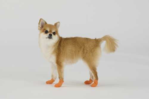 ペット用防災セット犬用　15点セット PBSI-15 narukiya-10013022 ナルキ屋 サンプル画像2