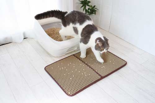 Other - 猫砂飛び散り防止マット(二重構造 猫 トイレ ネコのトイレ シンプル 清潔 抗菌 防水加工 すべり止め加工)