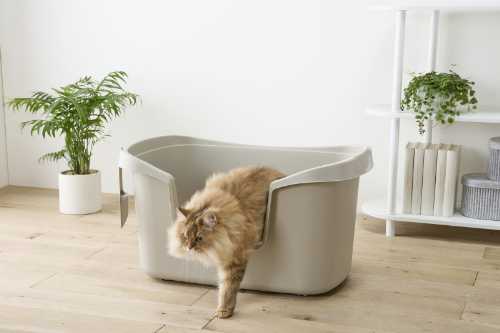 Rakuten - 大型猫トイレ PON-750 ベージュ【ペット用品 トイレ 猫 シンプル 飛び散り防止 猫 トイレ 本体のみ システムトイレ 掃除 清潔 お手入れ 脱臭 大玉用 猫トイレ 猫用 トイレ本体 アイリスオーヤマ】