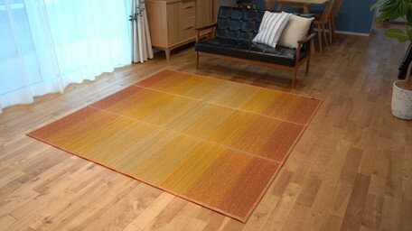 Character Pattern - KOBA−GUARD加工い草ラグ 小林製薬　60×180cm/126×190cm/190×190cm/190×250cm/190×300cm (い草ラグ いぐさ モダンデザイン 涼感 和風 夏 抗菌 防臭効果）