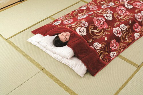 樂天商城 - 2枚合わせ衿くり毛布　3色組（TAN-831）（毛布　暖かい　防寒　寝具　掛け毛布 クリ衿 毛布 襟くり 毛布 衿付き毛布 来客用 掛け毛布 シングル 厚手 首元 あったか毛布 3枚組 毛布セット）