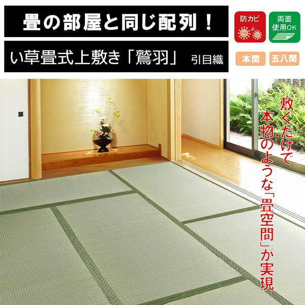 畳式上敷き 両面使用OK 「鷲羽(裏貼りなし)」本間4.5畳(約286X286cm) (い草マット い草ラグ カーペット・マット・畳 カーペット・ラグ 畳 上敷き 両面 上品 たたみ式 和 和室 インテリア 和モダン スペア 縁 い草) [2]
