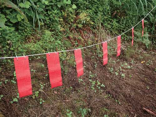 Rakuten - ハクビシンなぜ逃げる？ (日本製 強力撃退 威嚇 吊るすだけ 屋根裏 忌避効果 ハクビシン タヌキ アライグマ)