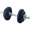 TotalFitness(トータルフィットネス) シンテックス ペイントダンベル10kgセット STW-131