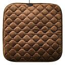 MRG ホットマット ホットカーペット 温度調節 ミニ 電気カーペット USB 一人用 ヒーター ペット キャンプ 43×43cm ミニマット 座布団 冷え コ...
