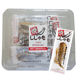 【賞味期限2/11】【一榮食品 焼ししゃも15枚】焼きししゃも/からふとししゃも/ししゃも/さかな/