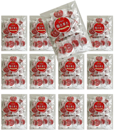 【ドライ塩トマト90g 12袋】【なるみ物産 ドライ塩とまと】野菜加工品/ドライトマト/ドライとまと/リコピン/熱中症対策/塩トマト/ドライ塩トマト/送料無料/まとめ買い