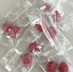 【生梅ピロ】【紀州梅　生梅菓子100g×12袋】和歌山県産梅/紀州梅/梅菓子/生梅/練り梅