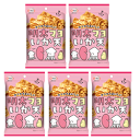 【在庫過多】【訳あり】【賞味期限9/11】【マルエス 明太マヨいか天22g×5袋セット】キャノーラ油100%/するめの胴部分/明太マヨネーズ味/株式会社マルエス