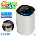 空気清浄機 フィルター交換不要 プラズマクラスター 省エネ スマートカー用 充電式 マイナスイオン 車用 換気 脱臭 アレルギー 花粉 カビ ウイルス タバコ ...