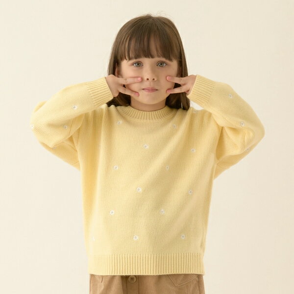 リセマイン(Lycee mine)ハート&フラワー総柄刺しゅうアソートセーター