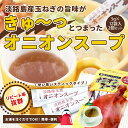 【メール便送料込みセット 】人気商品が送料無料♪お試し 淡路島玉ねぎ使用 オニオンスープスティックタイプ×2袋【02P05Sep15】【淡路島 鳴門千鳥本舗】