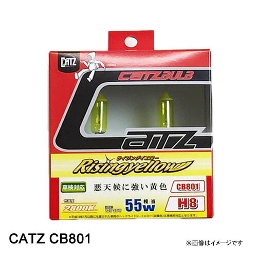 CB801 㥺 CATZ H8Х 饤󥰥 2800Kפ򸫤