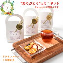 【ギフト】ドライフルーツ&紅茶 ミニギフトセット 1個 10g×1袋 姫ふうき1杯分 無添加 砂糖不使用 ミックス 国産 手作り 感謝 御礼 お礼 贈り物