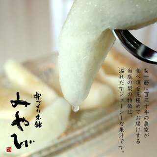 梨皿もり