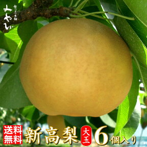 【送料無料】【新高（にいたか）梨】　大玉6個入り 　約3.2kg　希少な大玉 　極上のしずく梨の玉サイズ：6L〜7Lにいたか　和梨