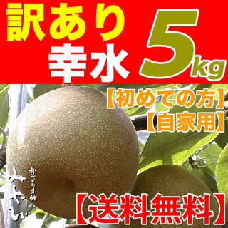幸水梨5kg訳ありワケアリわけ有り