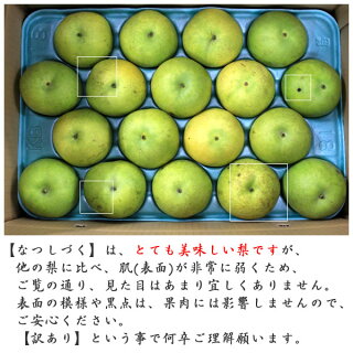 訳ありなつしづく荷姿