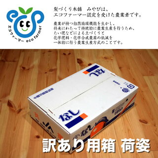 エコファーマー訳あり梨荷姿