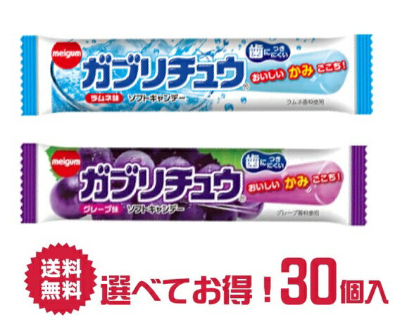 【送料無料】明治チューインガム ガブリチュウ 30本 詰め合わせ セット グレープ＆ラムネ | 菓子 おかし ナシオ