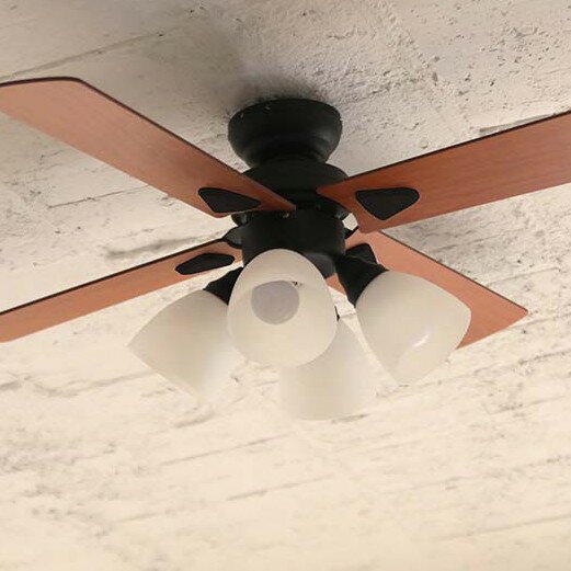 ��plusmore�� LED�б� 4�� ������󥰥ե��� Windouble �֥�å� ��⥳���դ� ��ñ����դ� BIG-101-BK