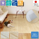 ペットのための滑りにくい 防水 消臭 ペットラグ 縦180×横240cm ズレ防止シール付き カットOK 木目調 お手入れ簡単 塩化ビニル樹脂 PRUG-1 明...