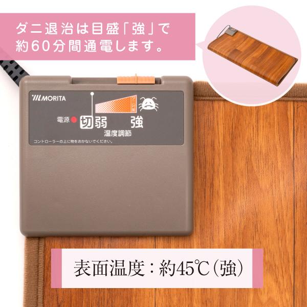 【2点購入で10%OFFクーポン】フローリング調 ホットカーペット 90×180cm 1畳相当 ...