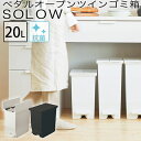 SOLOW ペダルオープンツイン 20L ゴミ箱 両開き ペダルペール 抗菌 防汚加工 ポリ袋止め 背面キャスター付き GSLW001 GSLW002 日本製 RISU リス