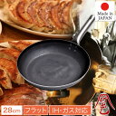 プロの料理人も愛用 職人の技 鉄フライパン 28cm チタンハンドル IH対応 ガス火対応 HANAKO 打出し鉄フライパン 板厚2.3mm HF28 山田工業所 日本製