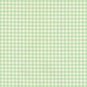 ギンガム 3.5ミリ 3139-20 パステルグリーン ギンガムチェック柄 生地 緑 グリーン パステルカラー かわいい 10cm単位 やや厚手 生成りオックス生地 綿100% 110cm 布 入園入学 インテリア雑貨 バッグ カルトナージュ生地 手芸 手作り生地 付属 用途 商用利用可 生地