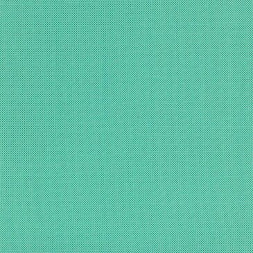 ピンドット 1ミリ 6431-37 アクアグリーン 水玉ドット 仁丹玉 水玉 小 ミニサイズ 緑 グリーン かわいい ティファニーブルー 10cm単位 やや厚手 生成りオックス生地 綿100% 110cm 布 カルトナージュ 生地 手芸 商用利用可 生地