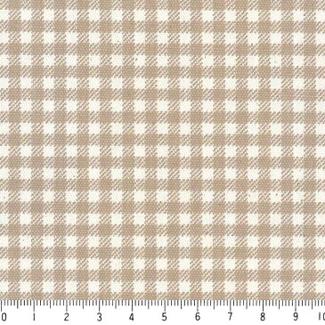 ギンガム 3.5ミリ 3139-46 ベージュ ギンガムチェック柄 生地 アースカラー 自然色 ナチュラルカラー 10cm単位 やや厚手 生成りオックス生地 綿100% 110cm 布 入園入学 インテリア雑貨 バッグ カルトナージュ生地 手芸 手作り生地 付属 用途 商用利用可 生地