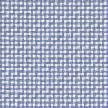 ギンガム 3.5ミリ 3139-58 ブルー ギンガムチェック柄 生地 水色 フランス生地の復刻 10cm単位 やや厚手 生成りオックス生地 綿100% 110cm 布 入園入学 インテリア雑貨 バッグ カルトナージュ生地 手芸 手作り生地 付属 用途 商用利用可 生地