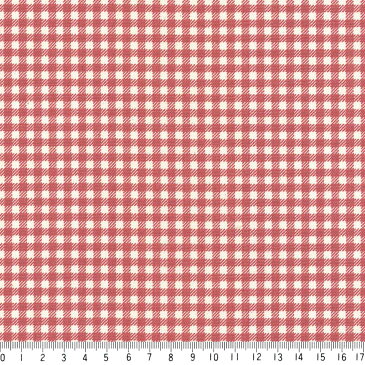 ギンガム 3.5ミリ 3139-69 イングリッシュレッド ギンガムチェック柄 生地 赤 10cm単位 やや厚手 生成りオックス生地 綿100% 110cm 布 入園入学 インテリア雑貨 バッグ カルトナージュ生地 手芸 手作り生地 付属 用途 商用利用可 生地