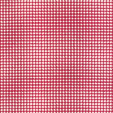 ギンガム 3.5ミリ 3139-70 レッド ギンガムチェック柄 生地 赤 10cm単位 やや厚手 生成りオックス生地 綿100% 110cm 布 入園入学 インテリア雑貨 バッグ カルトナージュ生地 手芸 手作り生地 付属 用途 商用利用可 生地