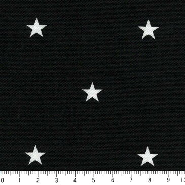 星柄 11ミリ 6936-99 ブラック クロ 黒 黒 モノトーン 北欧風 男の子 10cm単位 切り売り 晒し オックス生地 綿100% 110cm カルトナージュ 生地 エプロン バッグ ハンドメイド 付属 用途 入園入学 生地 カバー 商用利用可 生地