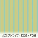 ST25ストライプ 生地 アクアグリーン(e09)|ライム(f06) st25-e09xf06 st25 面積比率 約25:75% のストライプ生地 オックス生地 シーチング ブロード 11号帆布 ハンプ生地 ダブルガーゼ 日本製 生地 布 松尾捺染 綿100% 10cm単位 カット売り 入園入学 商用利用可