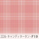 キャンディタータン柄 生地 コーラルピンク(f19) 2226-f19 かわいいカラーのチェック コーラルピンク オックス生地 シーチング ブロード 11号帆布 ハンプ生地 ダブルガーゼ スケア生地 日本製 生地 布 松尾捺染 綿100% 10cm単位 カット売り 入園入学 商用利用可