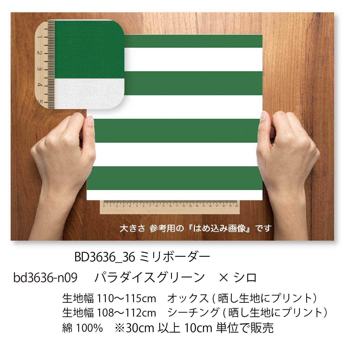 36ミリボーダー パラダイスグリーン bd3636-n09 36mm 横縞 bd3636 オックス生地 シ...