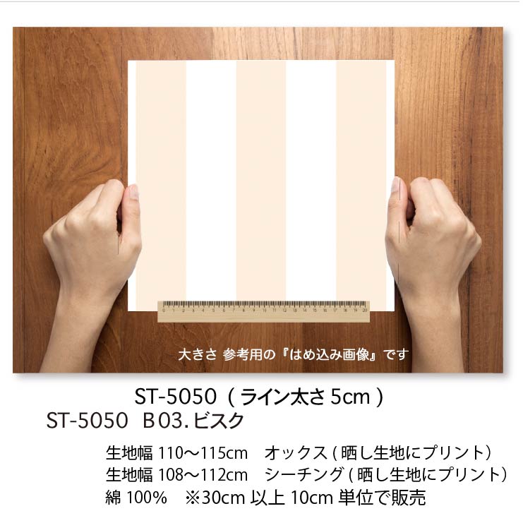 �֥��å����ȥ饤�� �٥ӡ����顼 B���롼�� st50b ���� st50 ������Ψ 50% ����ɥ󥹥ȥ饤�� st50an �ѥ��ƥ륫�顼 ���å������� �������� �֥����� 11������ ���֥륬���� ������ ���� �� �������� ��100�� 10cmñ�� ���å���� �������� �������Ѳ�