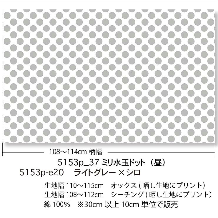 37ミリ ドット・水玉 （昼） e20.ライトグレー 5153p-e20 おしゃれ オックス 生地 ...