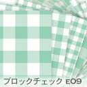 ブロックチェック E09 アクアグリーン ギンガムチェック おしゃれ 生地 モダン オックス生地 生地 布 松尾捺染 綿100％ シーチング生地 11号帆布 ev ブロード ダブルガーゼ カルトナージュ check 生地 布 松尾捺染 綿100％ 10cm単位 入園入学 商用利用可