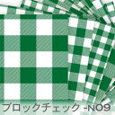 ブロックチェック パラダイスグリーン N-09 n09 ギンガムチェック おしゃれ 生地 モダン オックス生地 生地 布 松尾捺染 綿100％ シーチング生地 11号帆布 ev カルトナージュ check 生地 布 松尾捺染 綿100％ 10cm単位 入園入学 商用利用可