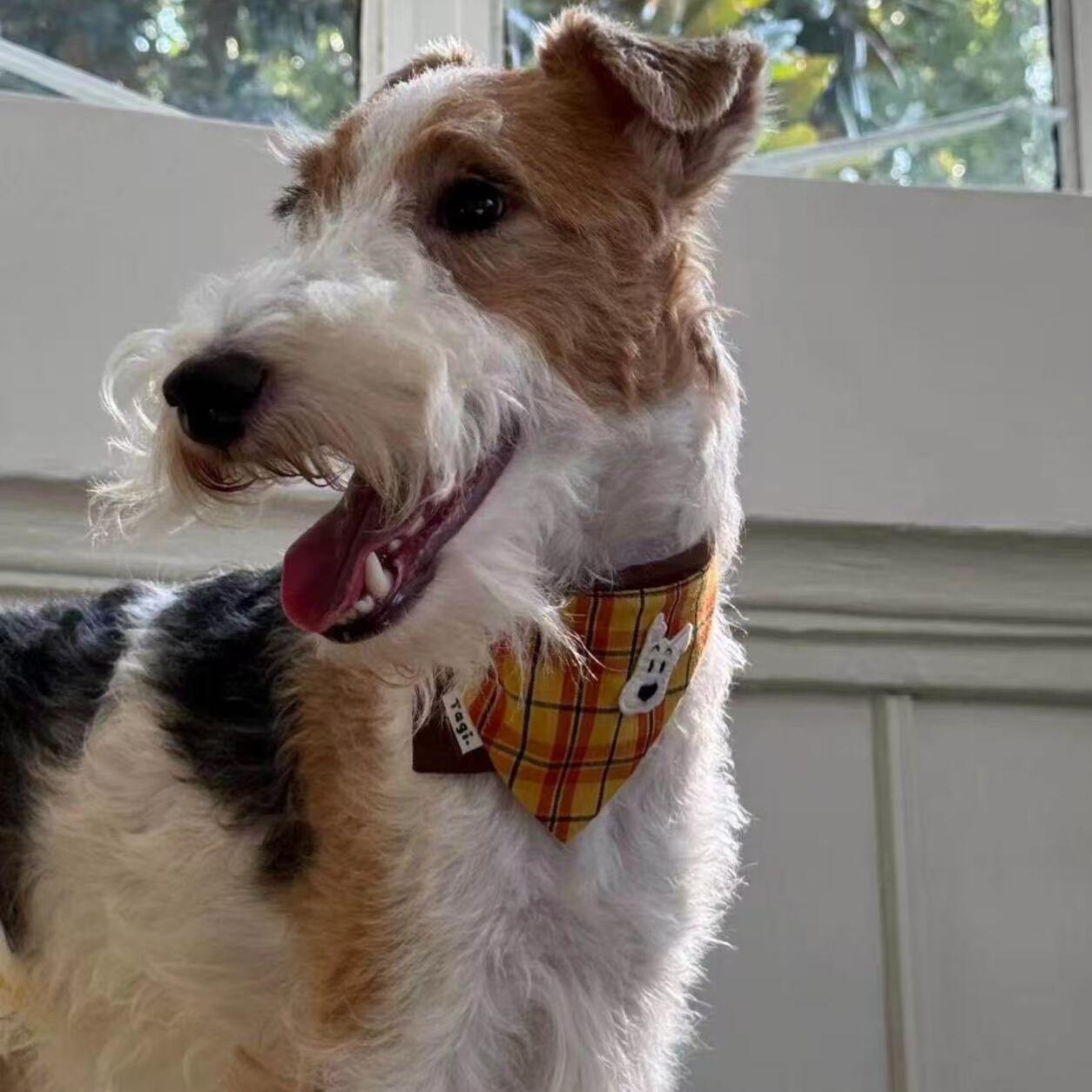 犬用バンダナ ペット用バンダナ 首輪 スカーフ 犬 猫 小型犬 子犬 調節可能 よだれ...