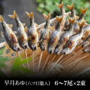 【六ツ目籠入】早月(さつき)あゆの塩焼き(6〜7尾×2束) SG-20