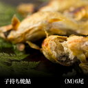 炭火焼 塩焼き 子持ち焼鮎(焼あゆ)(中サイズ6尾) 林屋