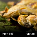 炭火焼 塩焼き 子持ち焼鮎(焼あゆ)(中サイズ10尾) 林屋