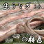生うなぎ(3本) 特製たれ・肝・骨付き