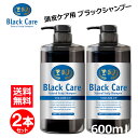 【880円お得！】ブラック ケアシャンプー 600ml 2本 ブラックケアシャンプー ブラックシャンプー リンス不要 スカルプ シャンプー ボリューム ハリ コシ しっとり さらさら 弱酸性 天然成分 地肌ケア レディース メンズ ボトル